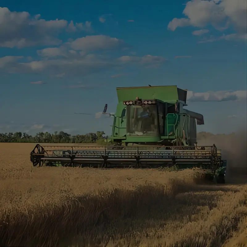 сельское хозяйство